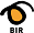 BIR Norge